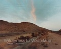 Cover: David T. Hanson: Wilderness to Wasteland - Taverner Press