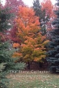Cover: The Story Collector - Story-Booker