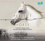 Bild: The Perfect Horse - Books on Tape