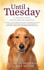 Cover: Until Tuesday - Headline Review