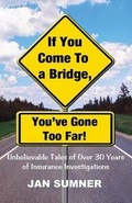 Cover: If You Come to a Bridge - You've Gone Too Far - Jadan Publishing Co. LLC