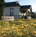 Cover: Fritz Haeg: Wildflowering L.A. - Los Angeles Nomadic Division (LAND)