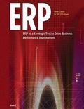 Cover: Erp as a Strategic Tool to Drive Business Performance Improvement - Dmmsi Associates, Inc.