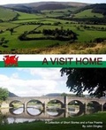 Cover: A Visit Home - Gwenwst Books