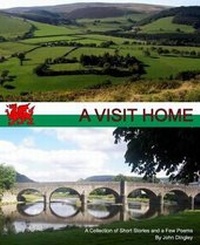 Enlarge image Cover: A Visit Home - Gwenwst Books