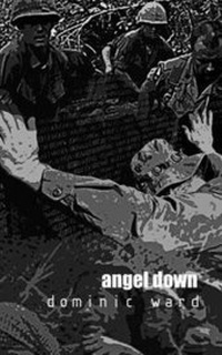 Enlarge image Cover: Angel Down - Hamal Books
