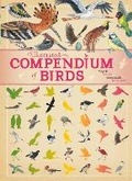 Cover: Illustrated Compendium of Birds - Franklin Watts Ltd