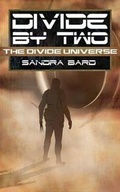 Cover: Divide by Two - Less Than Three Press