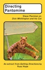 Cover: Directing Pantomime - Nick Hern Books