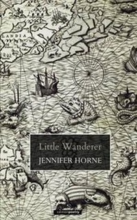 Enlarge image Cover: Little Wanderer - Salmon Poetry