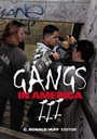 Cover: Gangs in America III - SAGE Publications Inc