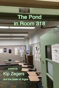 Cover: The Pond in Room 318 - DOS Madres Press