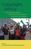 Cover: Copyright Africa - Sean Kingston Publishing