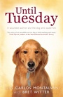 Cover: Until Tuesday - Headline Review