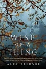 Cover: Wisp of a Thing - Starscape