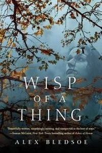 Enlarge image Cover: Wisp of a Thing - Starscape