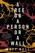 Cover: A Tree or a Person or a Wall: Stories - Soho Press