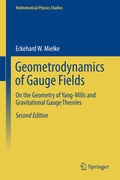Cover: Geometrodynamics of Gauge Fields - Springer