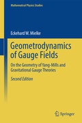 Cover: Geometrodynamics of Gauge Fields - Springer