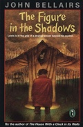 Cover: The Figure In the Shadows - Puffin Books