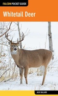 Cover: Whitetail Deer - Falcon Guides