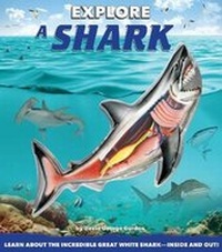 Enlarge image Cover: Explore a Shark - Canterbury Classics