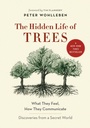 Cover: The Hidden Life of Trees - Greystone Books,Canada