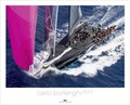 Cover: Carlo Borlenghi 2017 - Delius Klasing