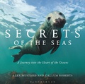 Cover: Secrets of the Seas - Bloomsbury Natural History