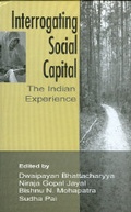 Cover: Interrogating Social Capital - SAGE Publications Inc