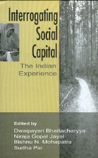 Enlarge image Cover: Interrogating Social Capital - SAGE Publications Inc