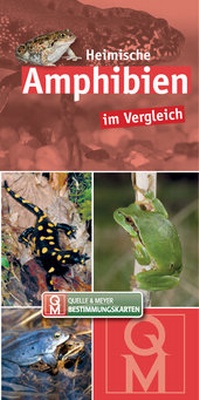 Abbildung von: Heimische Amphibien - Quelle & Meyer
