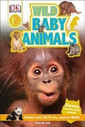Cover: Wild Baby Animals - DK Children