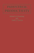 Cover: Industrial Productivity - Palgrave Macmillan