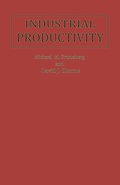 Cover: Industrial Productivity - Palgrave Macmillan