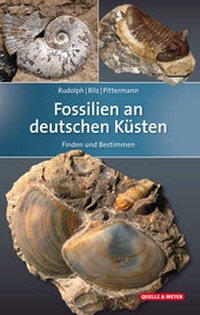 Abbildung von: Fossilien an deutschen Küsten - Quelle & Meyer