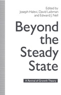 Cover: Beyond the Steady State - Palgrave Macmillan