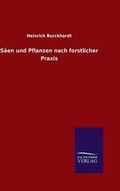 Cover: Saeen und Pflanzen nach forstlicher Praxis - Salzwasser-Verlag GmbH