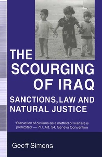 Enlarge image Cover: The Scourging of Iraq - Palgrave Macmillan