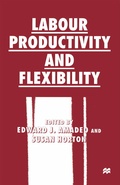 Cover: Labour Productivity and Flexibility - Palgrave Macmillan