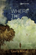 Cover: Where the Sky Opens - Wipf & Stock Publishers