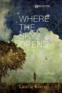 Enlarge image Cover: Where the Sky Opens - Wipf & Stock Publishers
