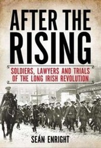 Enlarge image Cover: After the Rising - Merrion Press