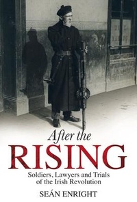 Enlarge image Cover: After the Rising - Merrion Press