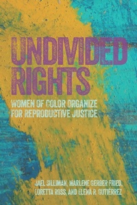 Enlarge image Cover: Undivided Rights - Haymarket Books