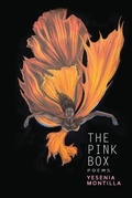 Cover: The Pink Box - Aquarius Press