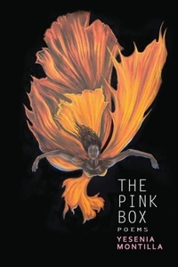 Enlarge image Cover: The Pink Box - Aquarius Press
