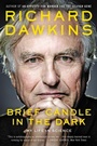 Cover: Brief Candle in the Dark - Collins
