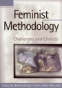 Cover: Feminist Methodology - SAGE Publications Inc