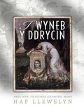Cover: I Wyneb y Ddrycin - Hedd Wyn, Yr Ysgwrn a'r Rhyfel Mawr - Cyhoeddiadau Barddas
